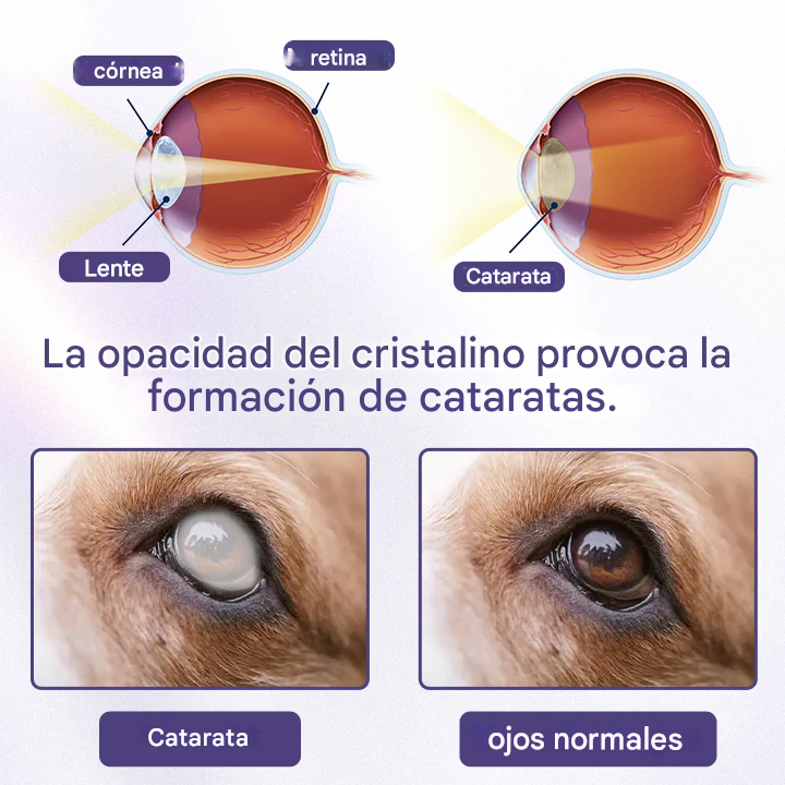 Gotas oftálmicas NanoCare para mascotas