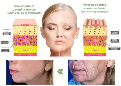 LOVILDS™𝐋𝐮𝐱𝐮𝐫𝐢𝐨𝐮𝐬 - Crema Reafirmante de Colágeno