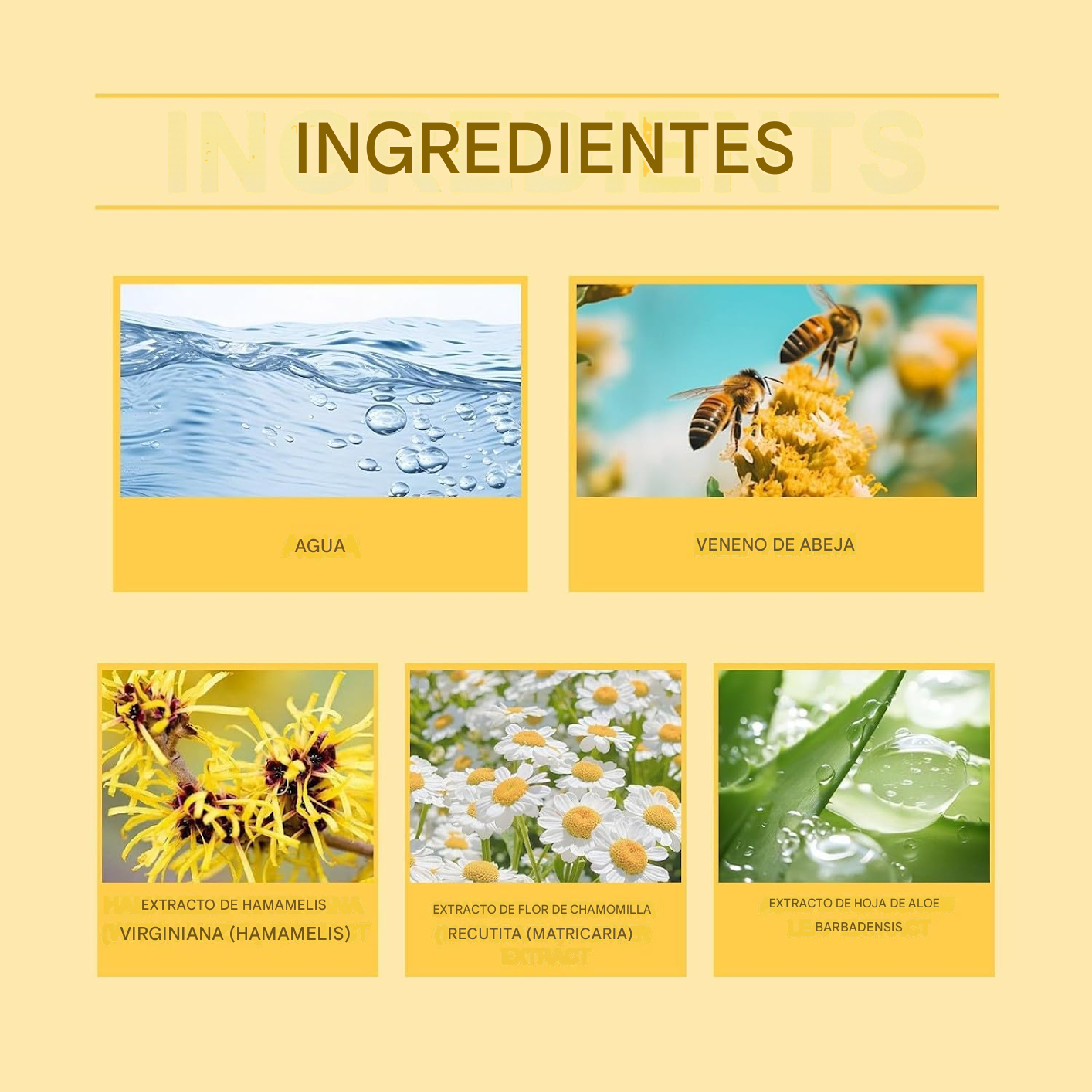 Bee - Crema Para El Alivio De Las Articulaciones Con Veneno De Abeja