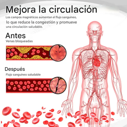Anillo Magnético De Terapia De Próstata