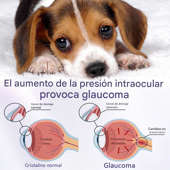 Gotas oftálmicas  NanoCare para mascotas
